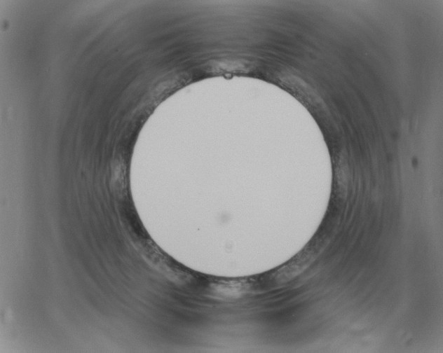 X0000064770079200603131444