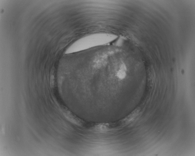 X0000064770080200603131444