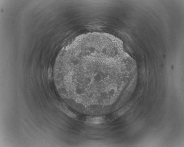 X0000064770081200603131444