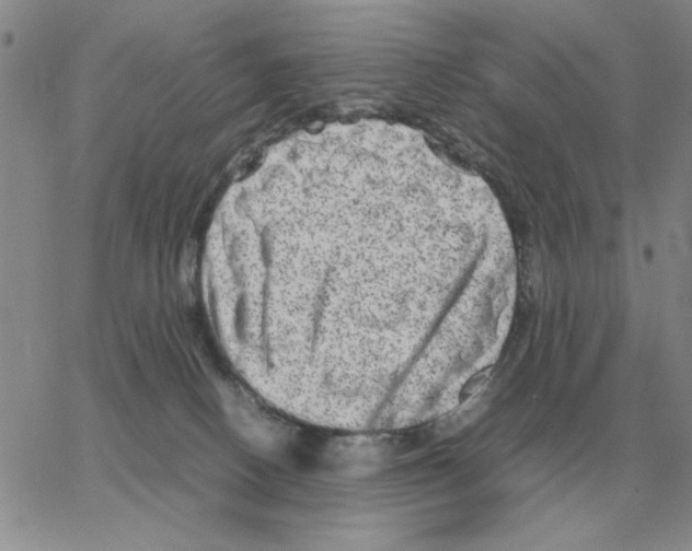 X0000064770082200603131444