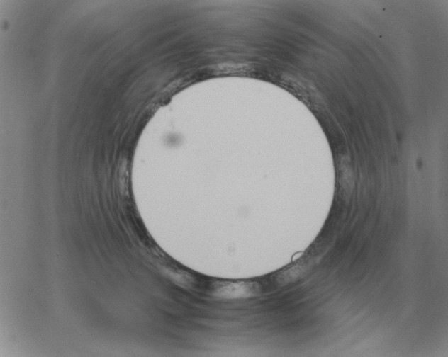 X0000064770083200603131444