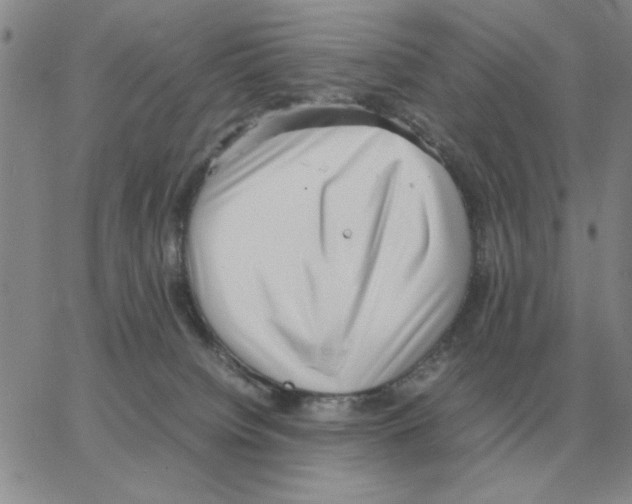 X0000064770084200603131444