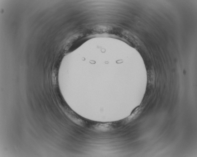 X0000064770086200603131444