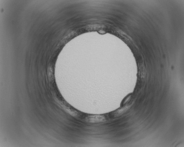 X0000064770087200603131444