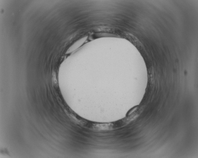 X0000064770089200603131444