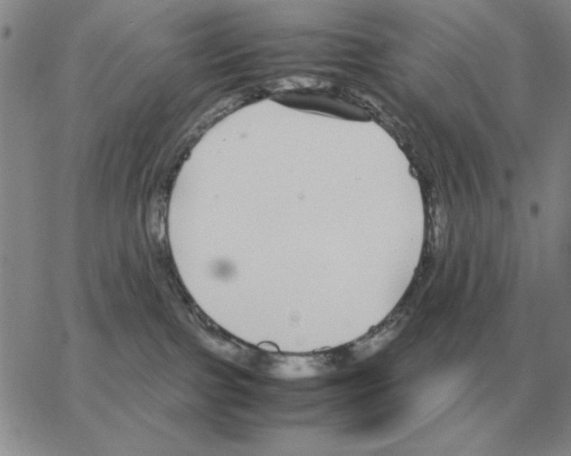 X0000064770091200603131444