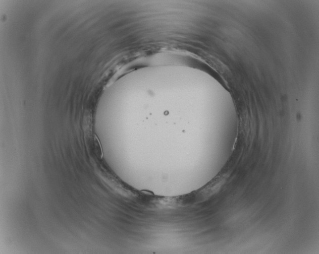 X0000064770092200603131444