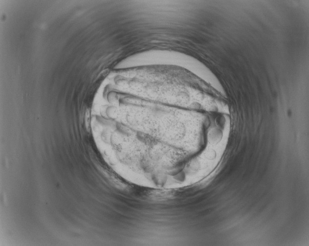 X0000064770094200603131444