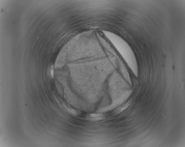 X0000064770095200603131444