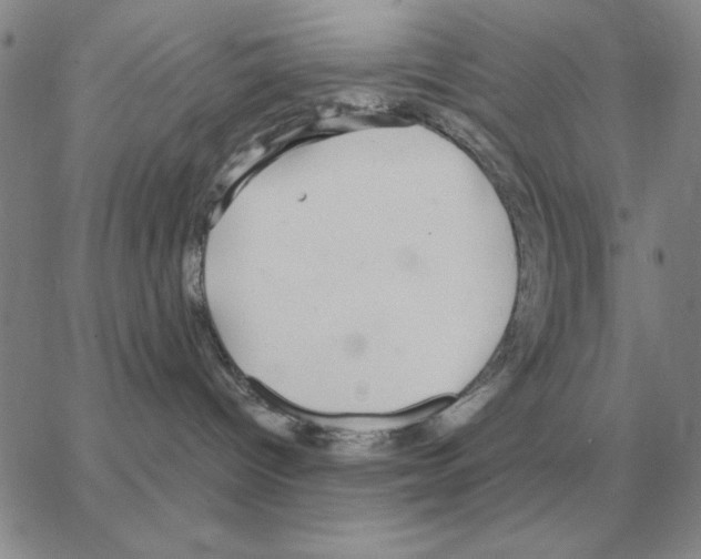 X0000064770096200603131445