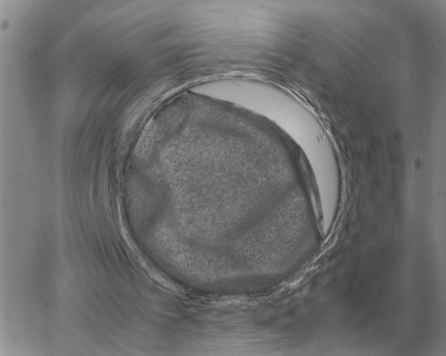 X0000064770097200603131444