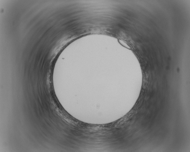 X0000064770098200603131444