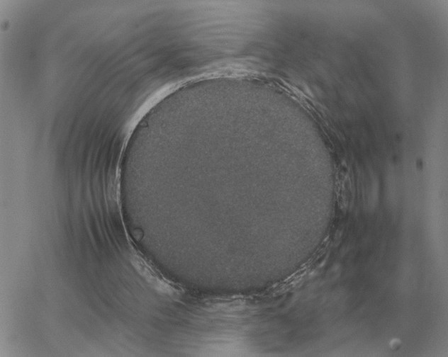 X0000064770100200603131444