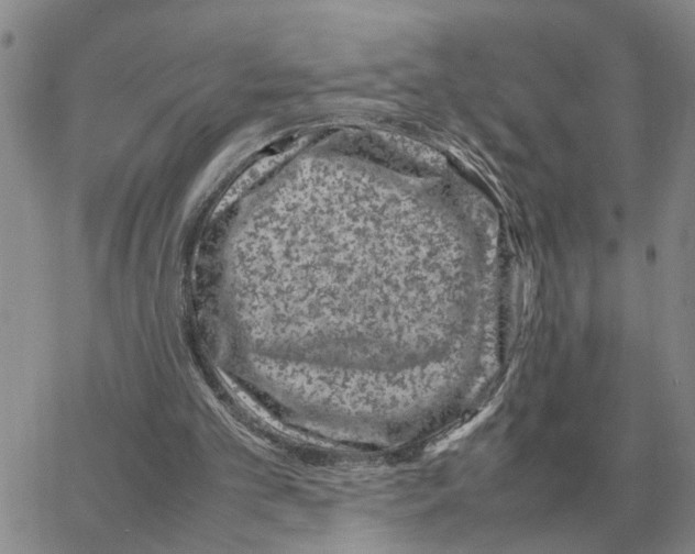 X0000064770101200603131444