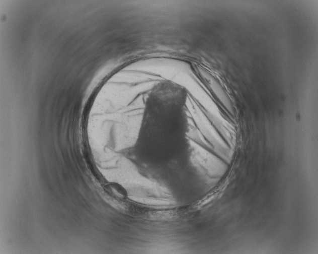 X0000064770102200603131444