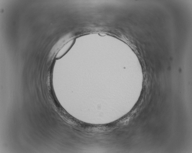 X0000064770103200603131444