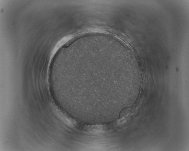 X0000064770104200603131444