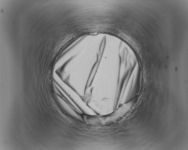 X0000064770105200603131444