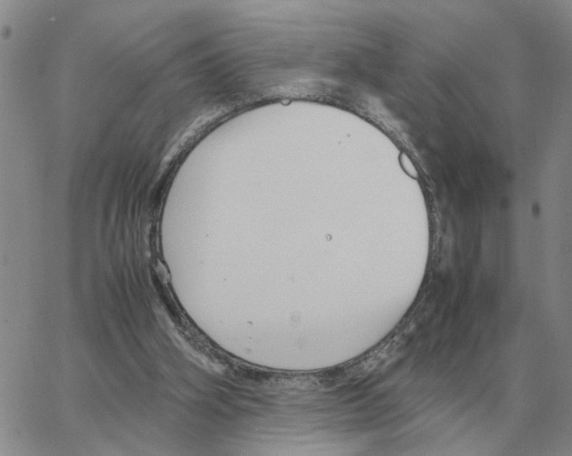 X0000064770106200603131444