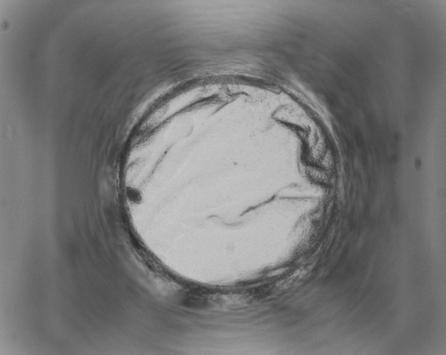 X0000064770107200603131444