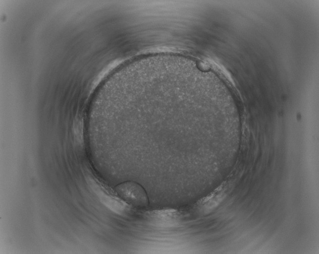 X0000064770108200603131444