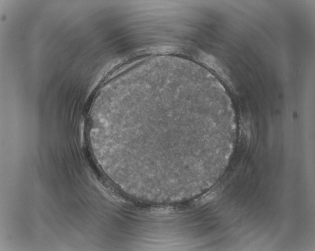 X0000064770110200603131444