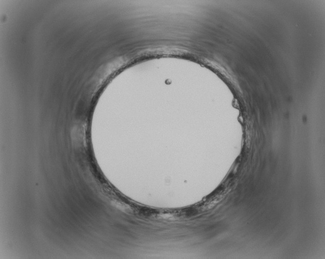 X0000064770111200603131444