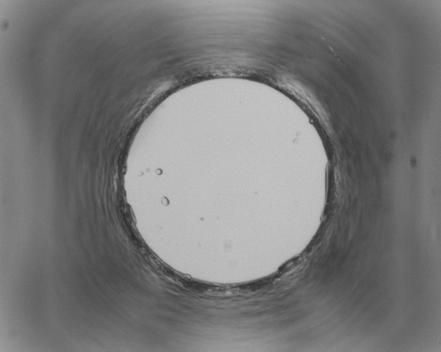 X0000064770113200603131443