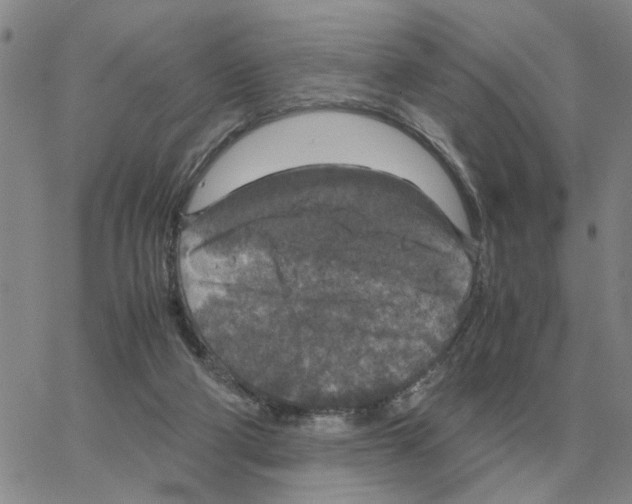 X0000064770114200603131443