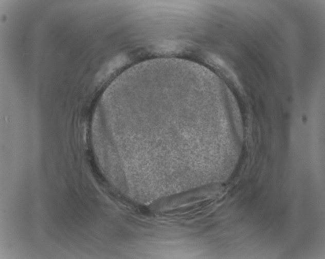 X0000064770115200603131443