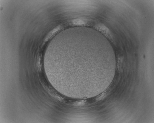 X0000064770116200603131443