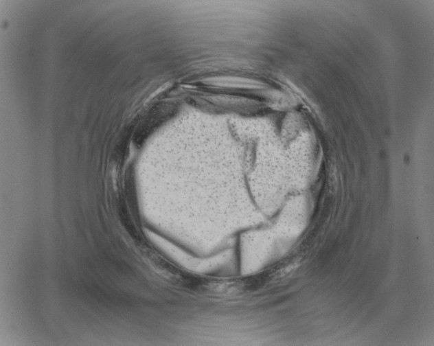 X0000064770117200603131443