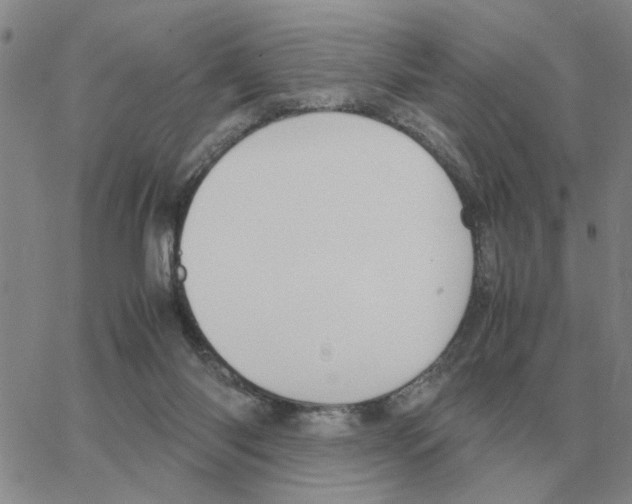 X0000064770118200603131443