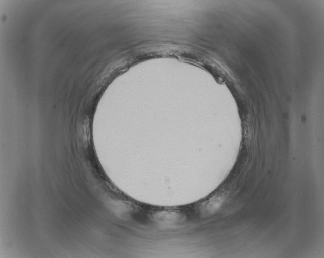 X0000064770119200603131443