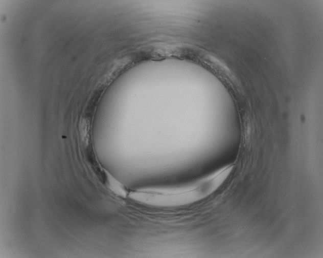 X0000064770121200603131443