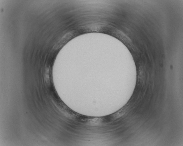 X0000064770122200603131443