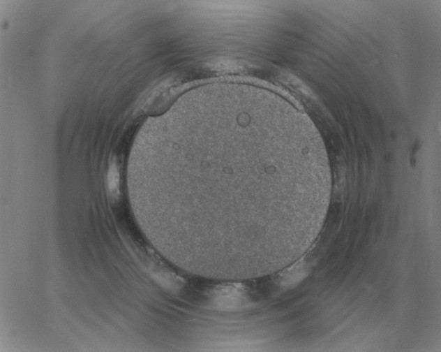 X0000064770124200603131443