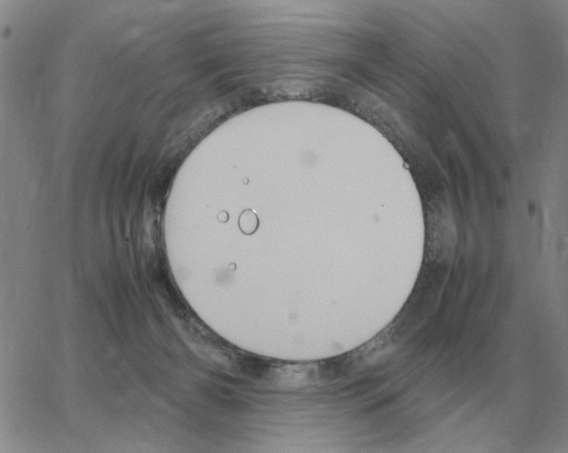 X0000064770126200603131443