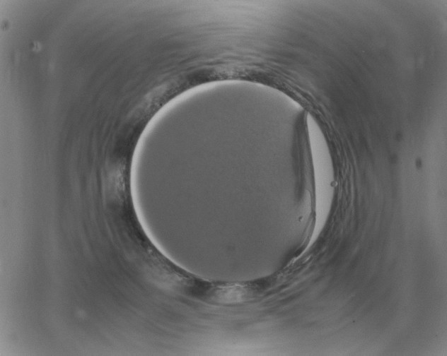 X0000064770127200603131443