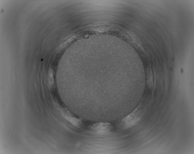 X0000064770128200603131443