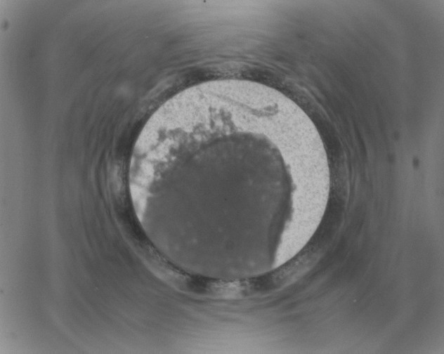 X0000064770131200603131443