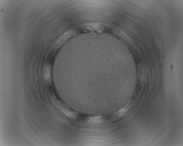 X0000064770132200603131443