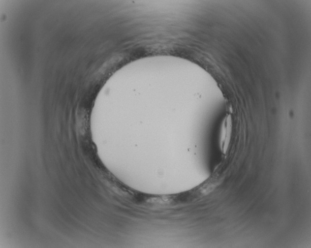 X0000064770133200603131443