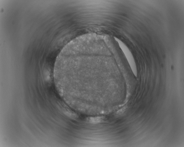 X0000064770134200603131443