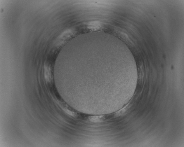 X0000064770136200603131443