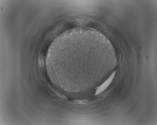 X0000064770137200603131443