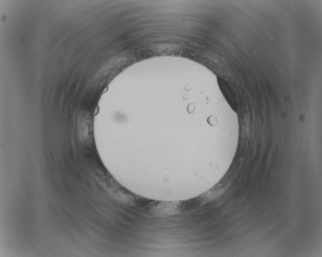 X0000064770138200603131443