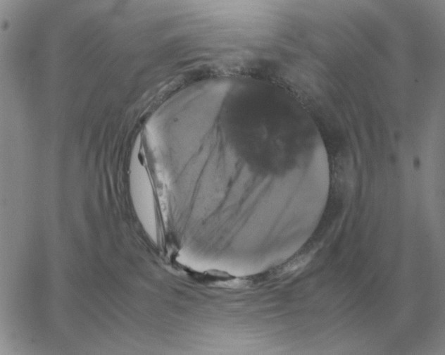 X0000064770139200603131443