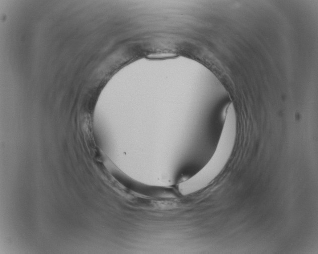 X0000064770141200603131443