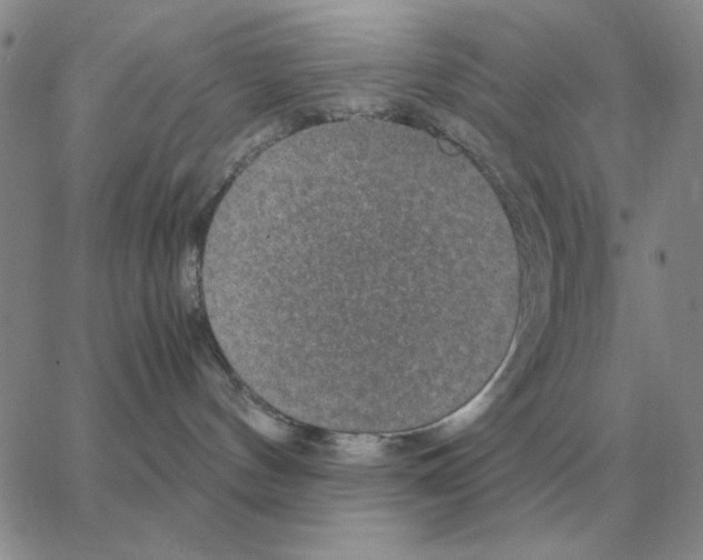 X0000064770144200603131443